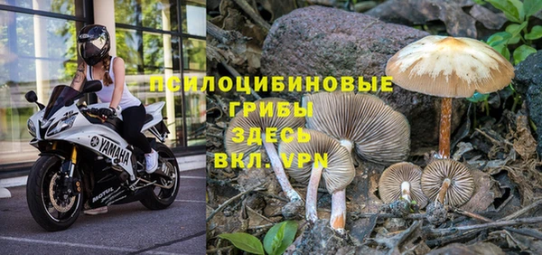 спиды Новокубанск